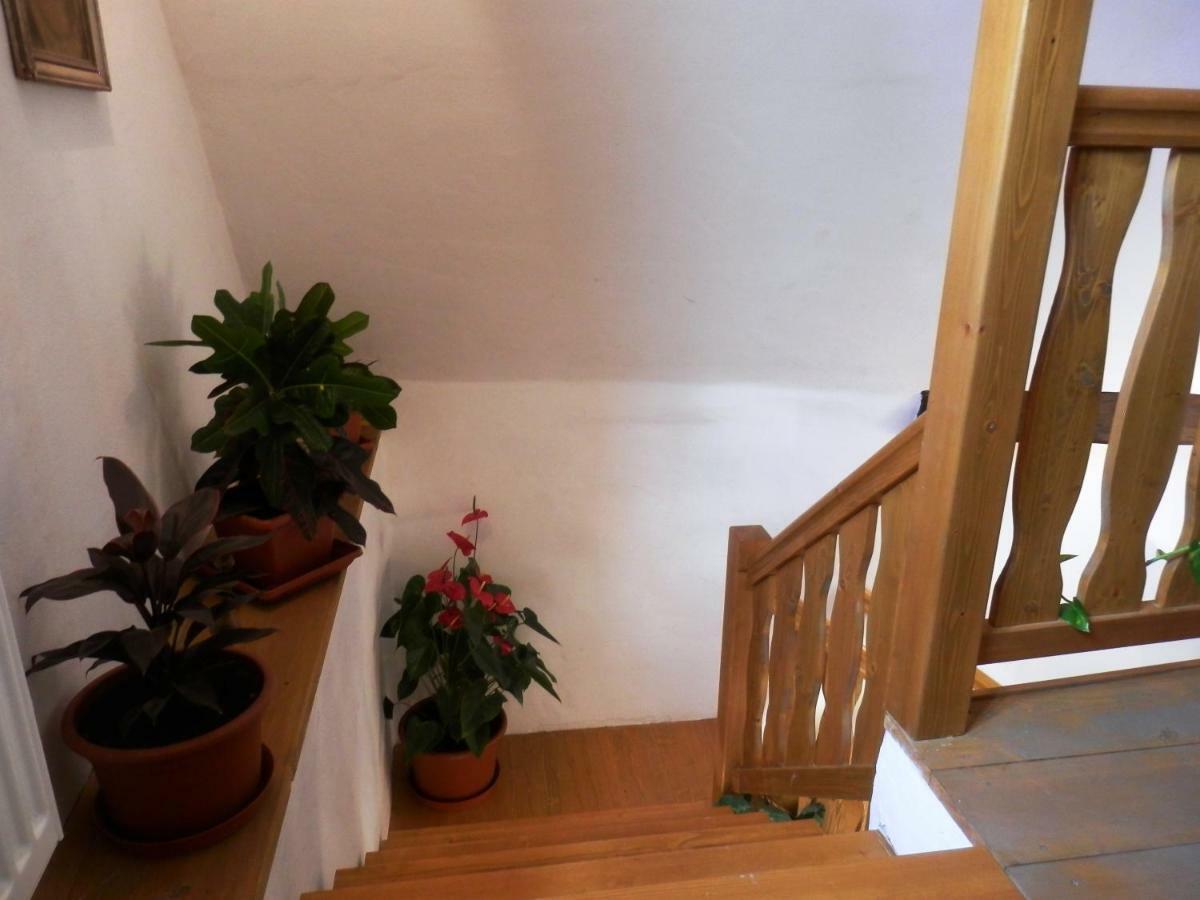 Apartmány U sv. Floriána Slavonice Exterior foto